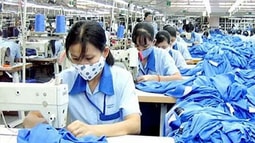 Bức tranh tổng thể về gia công hàng hóa cho nước ngoài
