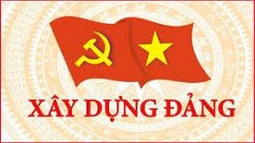 Công tác xây dựng Đảng ở Chi bộ FV88 nhà cái World Cup 2026 huyện Tân Phú Đông, Tiền Giang