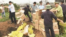 Cảnh báo nguy cơ cao xâm nhiễm các dịch bệnh nguy hiểm dịp Tết