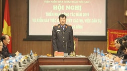 Vụ 9, Vụ 10 VKSND tối cao triển khai công tác năm 2019