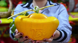 Những mẫu trái cây “độc”, lạ hút khách dịp Tết Kỷ Hợi 2019