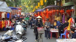 Tết ở chợ hoa phố Hàng Lược