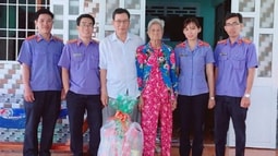 Xuân ấm áp 2019