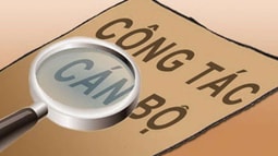 Quy định mới về chế độ kiểm tra, giám sát công tác cán bộ