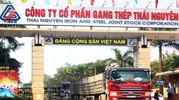 Phê chuẩn khởi tố, bắt tạm giam nguyên Chủ tịch Hội đồng quản trị Tổng Công ty Thép Việt Nam