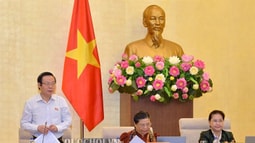 Đề xuất người uống rượu bia lái xe, có thể phạt đi lao động công ích