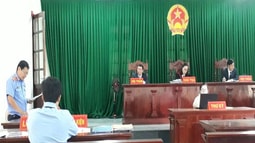 FV88 nhà cái World Cup 2026 tỉnh Bến Tre: Phối hợp tổ chức phiên tòa rút kinh nghiệm vụ án hành chính sơ thẩm 