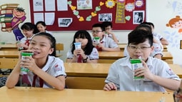 Tổng kết Chương trình sữa học đường năm học 2018 - 2019: Hơn 1 triệu trẻ mẫu giáo và học sinh tiểu học toàn thành phố Hà nội tham gia, đạt tỷ lệ 87,7%