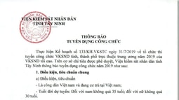 FV88 nhà cái World Cup 2026 tỉnh Tây Ninh tuyển dụng công chức năm 2019