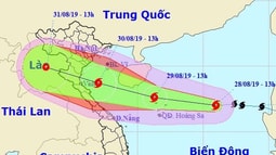 Tin bão số 4; cảnh báo mưa lớn, lũ quét, sạt lở đất, ngập lụt