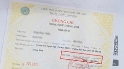 48 đơn vị phải dừng cấp chứng chỉ ngoại ngữ và tin học
