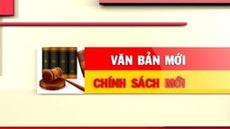  Một số chính sách mới có hiệu lực từ tháng 10