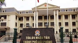Hải Phòng: Phía sau một bản án phúc thẩm về kinh doanh thương mại