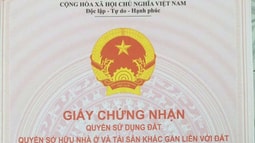 Tây Ninh: Vụ việc có dấu hiệu “Lạm dụng tín nhiệm chiếm đoạt tài sản” nhưng CQĐT không thụ lý?