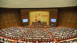 ĐBQH: Luật Cán bộ, công chức và Luật Viên chức cần học tập Ba tiêu chí tìm người hiền tài của Bác Hồ