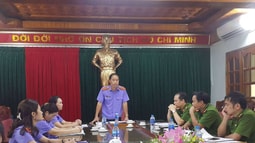 Kiểm sát công tác giải quyết khiếu nại, tố cáo trong hoạt động tư pháp tại Cơ quan CSĐT Công an TP Phúc Yên