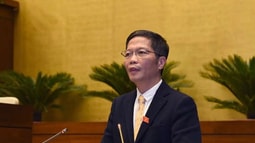 TRỰC TIẾP: 'Kinh tế Việt Nam là kinh tế mở hay kinh tế hở?'
