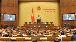 Quốc Hội thảo luận về dự thảo Nghị quyết thí điểm không tổ chức HĐND tại các phường thuộc quận, thị xã của TP. Hà Nội