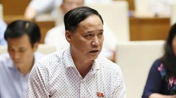 “Có lãnh đạo Bộ gây sức ép với đại biểu vì phát biểu trái quan điểm"