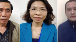 Nguyên Phó Giám đốc Sở Kế hoạch và Đầu tư thành phố Hà Nội bị bắt 
