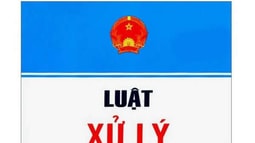 Bàn về tình tiết “đã bị xử phạt vi phạm hành chính mà còn vi phạm”
