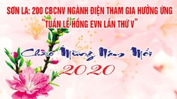 Sơn La: 200 VBCNV ngành điện tham gia hưởng ứng "Tuần lễ Hồng EVN lần thứ V"