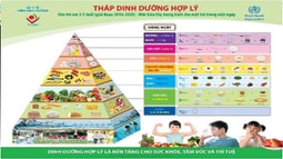 Đã có quy định rõ ràng về sản phẩm dùng cho chương trình sữa học đường