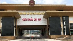 Khởi tố 2 cán bộ hải quan Lạng Sơn về vụ án buôn lậu dược liệu