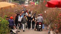 Phóng sự ảnh: Hà Nội Tết Canh Tý 2020