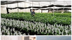  Chính sách mới có hiệu lực từ tháng 2/2020