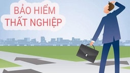  Thủ tục làm hồ sơ bảo hiểm thất nghiệp do đại dịch Covid-19 gây ra