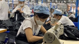 Trả lương không đúng hạn, doanh nghiệp bị phạt đến 100 triệu đồng