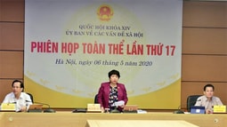 Sửa đổi Luật để hỗ trợ tốt nhất cho người lao động Việt Nam đi làm việc ở nước ngoài 