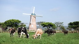 Vinamilk công bố kết quả kinh doanh quý 1 năm 2020