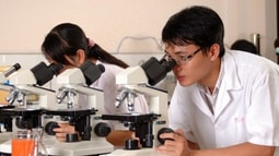 Cần bổ sung chức năng giám định tư pháp cho Viện FV 88 đăng ký tài khoản 