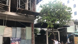Quận 7 (TP. HCM): Bỗng nhiên mất nhà vì vướng vào kiện tụng