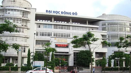 Bắt nguyên Trưởng phòng Tài chính kế toán Trường Đại học Đông Đô