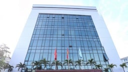 Thực hiện tái cơ cấu tạo nhiều chuyển biến tích cực, Vicem đạt lợi nhuận “khủng” gần 3.200 tỷ đồng