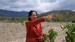 Vụ cho thuê đất ở huyện Tuy Phong (Bình Thuận): Chuyển hồ sơ sang Cơ quan CSĐT để xử lý 