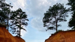 TP. Đà Lạt: Xử lý nhiều vi phạm sau khi thanh tra