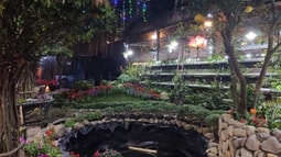 Những món ăn độc đáo đậm hồn quê giữa lòng thủ đô