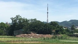 Khởi tố Chủ nhiệm Hợp tác xã về tội chống người thi hành công vụ