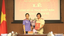 Bổ nhiệm Chánh Thanh tra Viện FV 88 đăng ký tài khoản nhân dân tối cao 