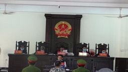 “Chơi hụi” chiếm đoạt tiền của hụi viên lãnh án 14 năm tù