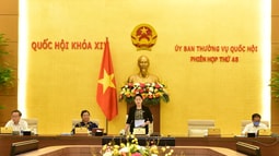Nhiều tranh luận trái chiều quanh dự án Luật Lực lượng tham gia bảo vệ an ninh, trật tự ở cơ sở