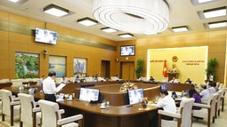 Thông qua Nghị quyết về thành lập Văn phòng Đoàn ĐBQH và HĐND