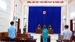 Công ty TNHH MTV Logistics Viettel điều động nhân viên không đủ điều kiện điều khiển phương tiện tham gia giao thông đường bộ