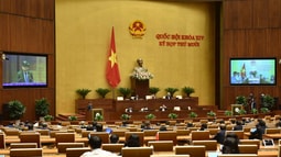 Đa số DBQH cho rằng chưa cần thiết xây dựng luật Lực lượng tham gia bảo vệ an ninh, trật tự cơ sở