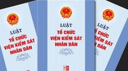 Kiến nghị từ thực tiễn thi hành Luật Tổ chức Viện kiểm sát nhân dân năm 2014