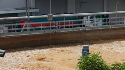Nhà máy Masan sản xuất gây ô nhiễm : Người dân kêu cứu nhiều năm không được xử lý